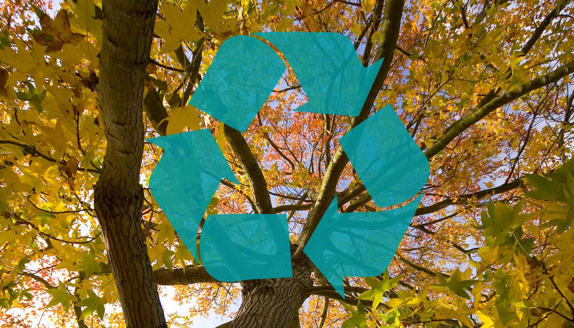 Printing onto recycled paper